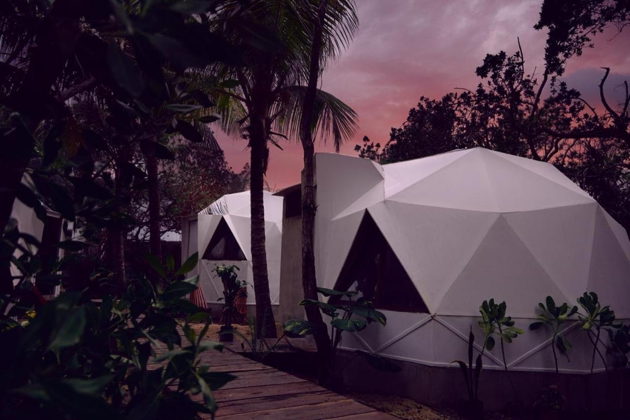 Frequency * Isla Holbox